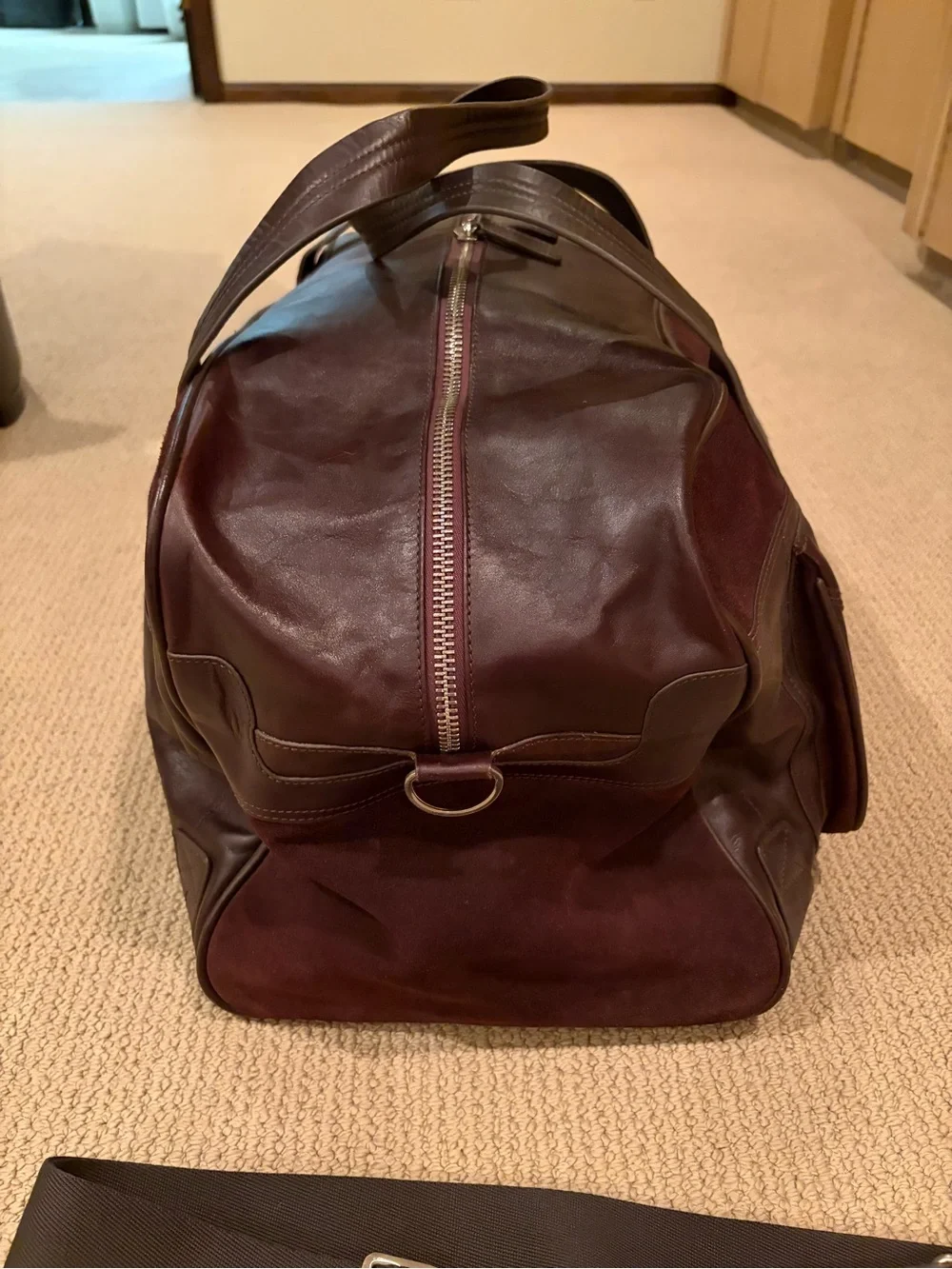 Fossil spacious brown